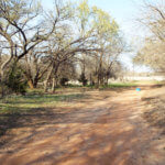 Hunting Land Cattle Pasture