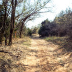 Hunting Land Cattle Pasture