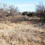 Hunting Land Cattle Pasture