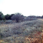 Hunting Land Cattle Pasture