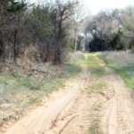 Hunting Land Cattle Pasture