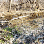 Hunting Land Cattle Pasture