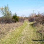 Hunting Land Cattle Pasture