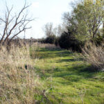 Hunting Land Cattle Pasture