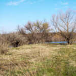 Hunting Land Cattle Pasture