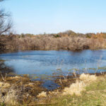 Hunting Land Cattle Pasture