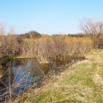 Hunting Land Cattle Pasture