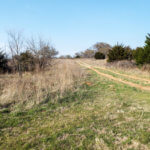 Hunting Land Cattle Pasture