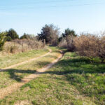 Hunting Land Cattle Pasture