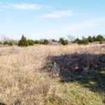 Hunting Land Cattle Pasture