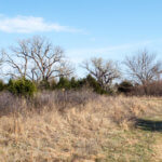 Hunting Land Cattle Pasture