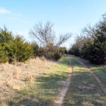 Hunting Land Cattle Pasture