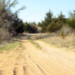 Hunting Land Cattle Pasture