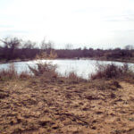 Hunting Land Cattle Pasture