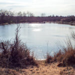 Hunting Land Cattle Pasture