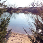 Hunting Land Cattle Pasture