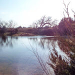 Hunting Land Cattle Pasture