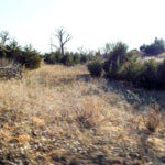 Hunting Land Cattle Pasture