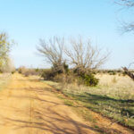 Hunting Land Cattle Pasture