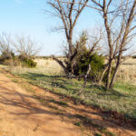 Hunting Land Cattle Pasture