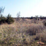 Hunting Land Cattle Pasture