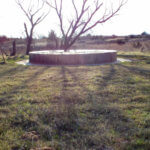 Hunting Land Cattle Pasture