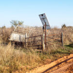 Hunting Land Cattle Pasture