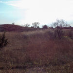 Hunting Land Cattle Pasture