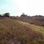 Hunting Land Cattle Pasture