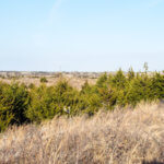 Hunting Land Cattle Pasture