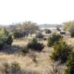 Hunting Land Cattle Pasture