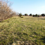 Hunting Land Cattle Pasture