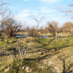 Hunting Land Cattle Pasture