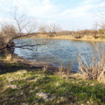 Hunting Land Cattle Pasture