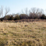 Hunting Land Cattle Pasture