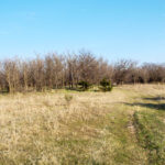 Hunting Land Cattle Pasture