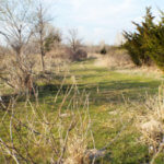 Hunting Land Cattle Pasture