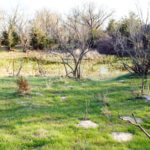 Hunting Land Cattle Pasture