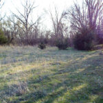 Hunting Land Cattle Pasture