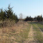 Hunting Land Cattle Pasture