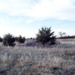 Hunting Land Cattle Pasture