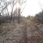 Hunting Land Cattle Pasture