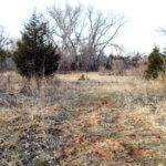 Hunting Land Cattle Pasture