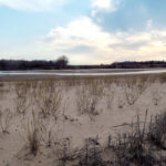 Hunting Land Cattle Pasture