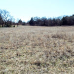 Hunting Land Cattle Pasture