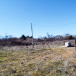 Hunting Land Cattle Pasture