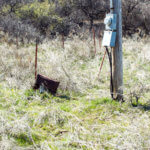 Hunting Land Cattle Pasture