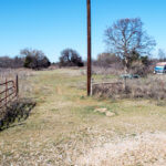 Hunting Land Cattle Pasture