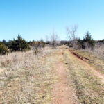 Hunting Land Cattle Pasture