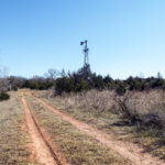 Hunting Land Cattle Pasture